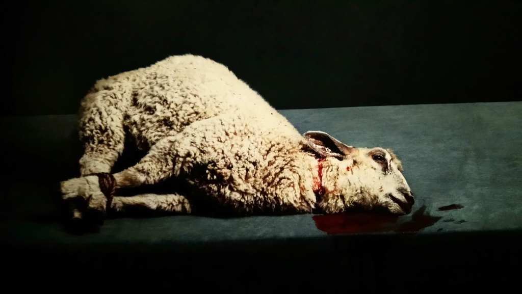 Stephan Vanfleteren (FOMU, Antwerpen)